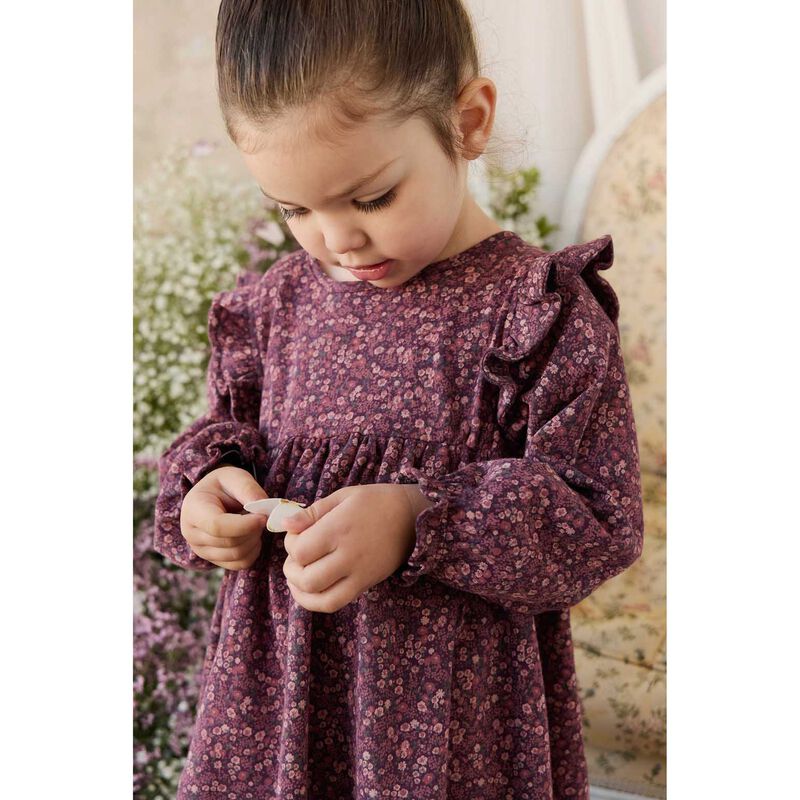 Jamie Kay Organic Cotton Frankie Dress 3-5Y image number 3